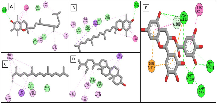 Figure 6