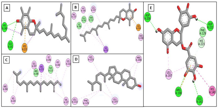 Figure 5