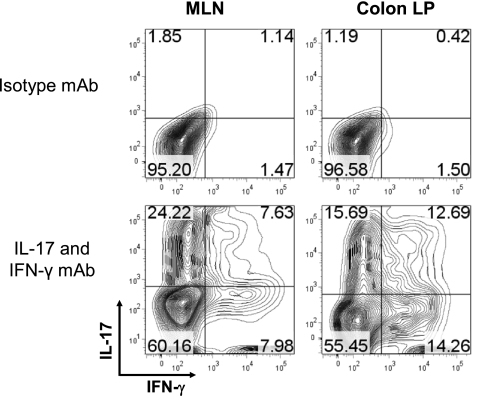 Fig. 6.