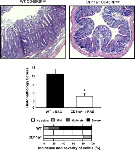 Fig. 10.