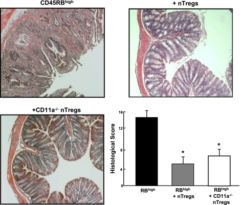 Fig. 11.