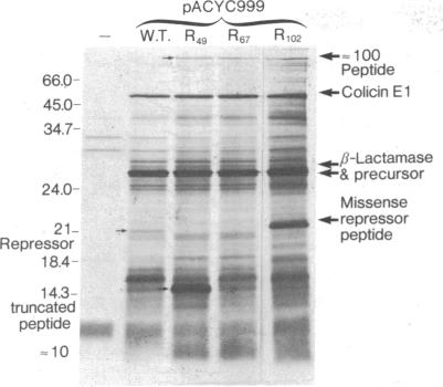 graphic file with name pnas00008-0457-a.jpg