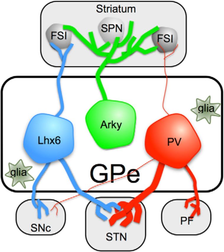 Figure 1.