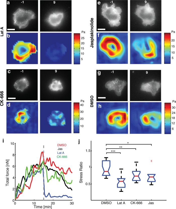 FIGURE 2: