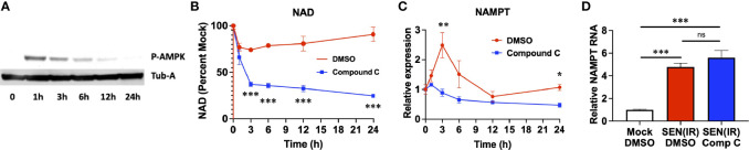 Figure 2