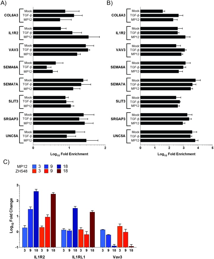 Fig 6