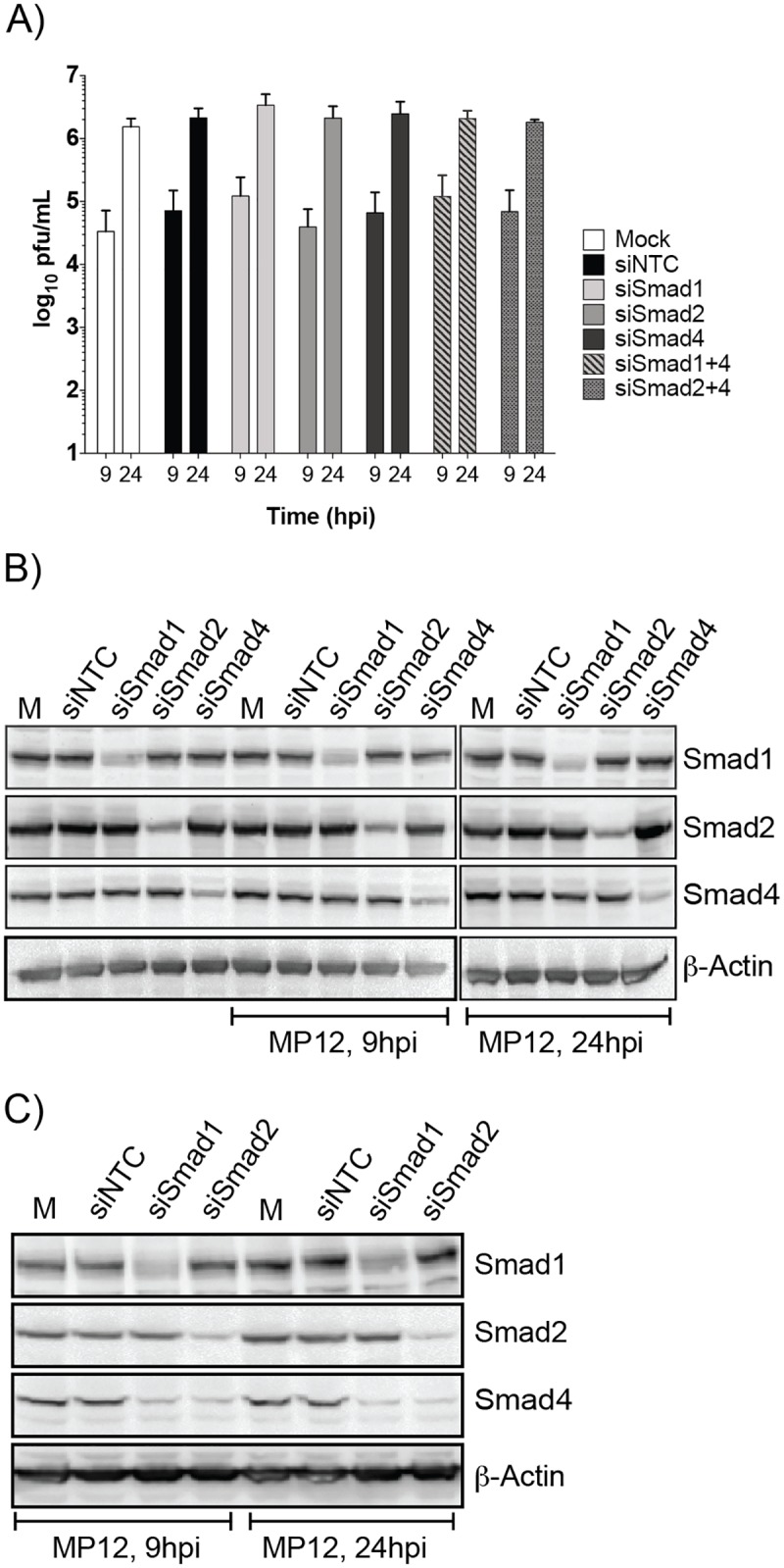 Fig 4