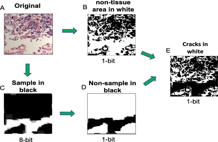 Fig. 2