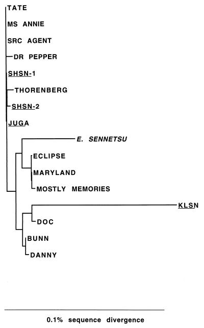 FIG. 7