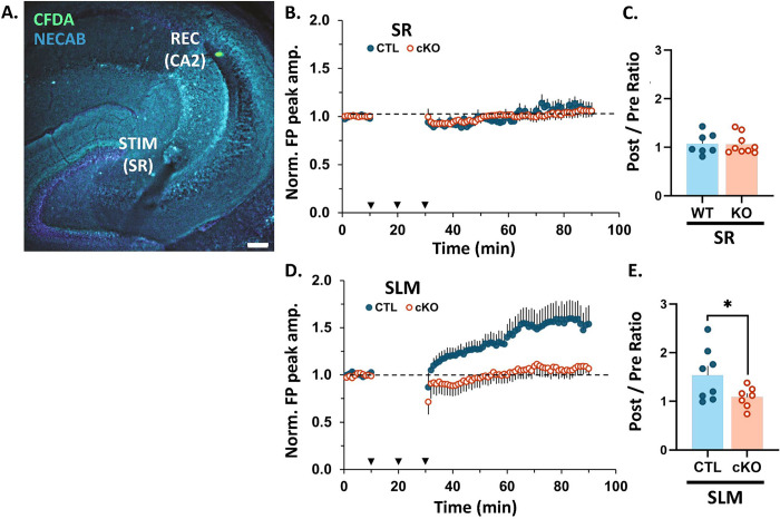 Fig. 2: