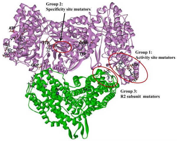 Fig. 3