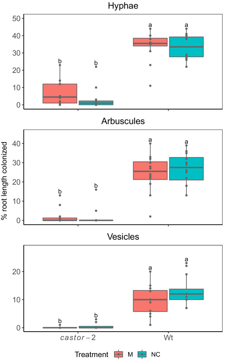 Figure 1—figure supplement 2.