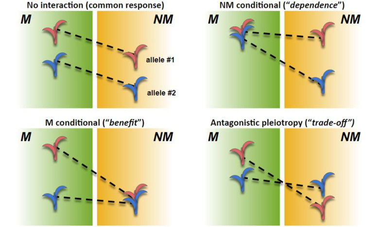 Figure 4—figure supplement 1.