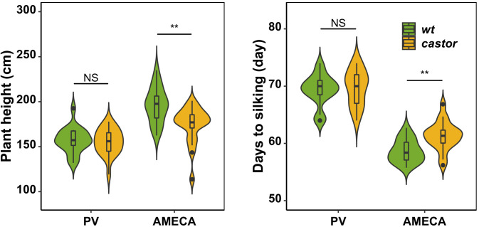 Figure 1—figure supplement 3.