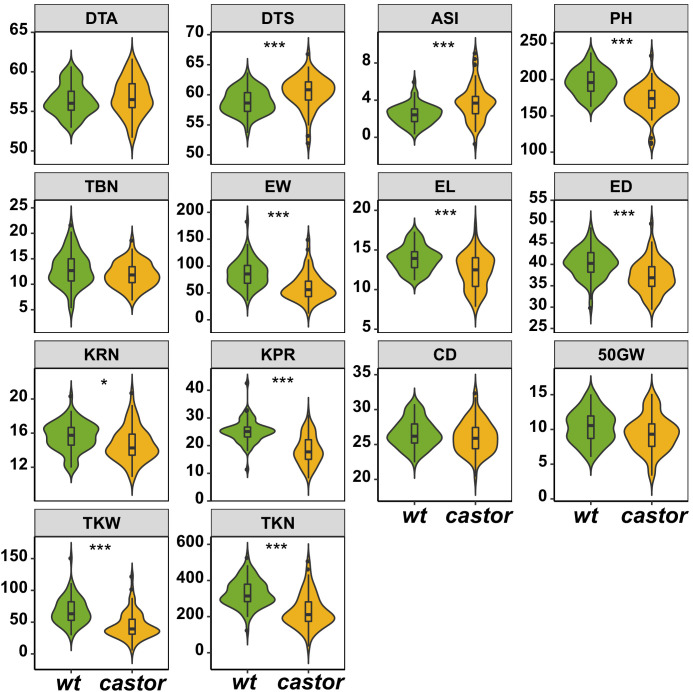 Figure 2—figure supplement 4.