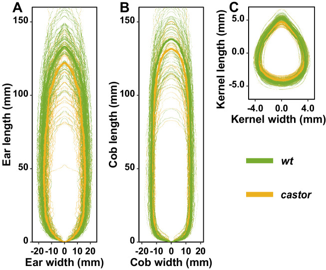 Figure 2—figure supplement 5.