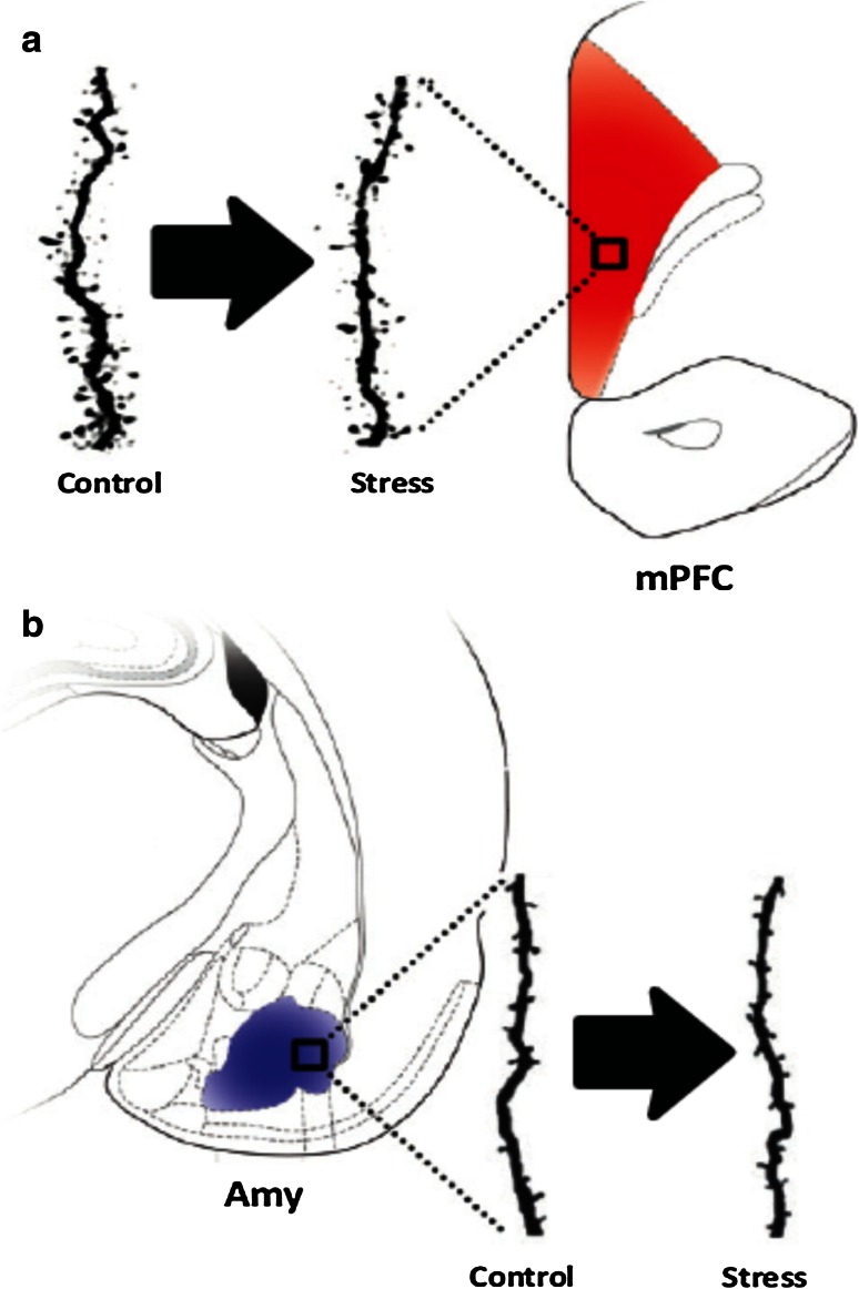 Fig. 6