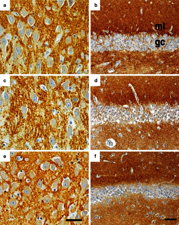 Fig. 8