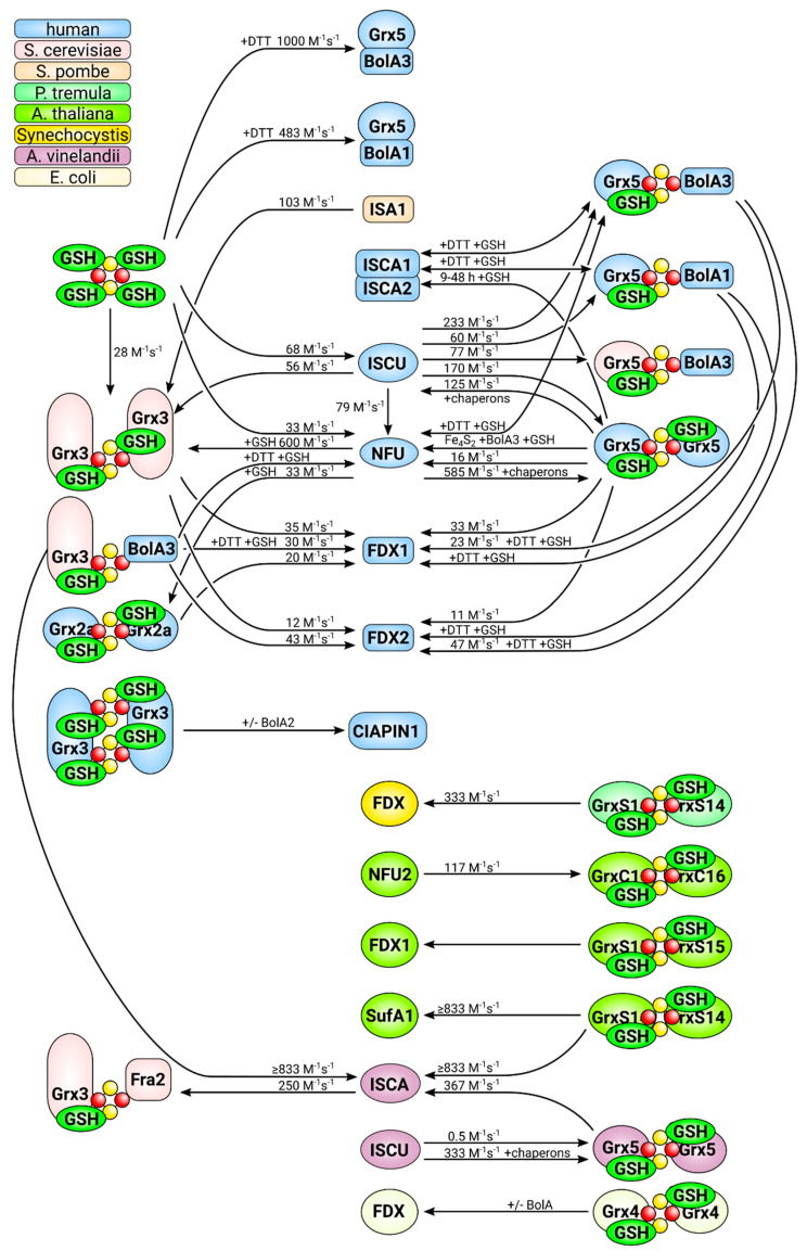 Figure 5