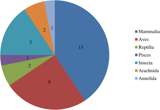 FIGURE 3