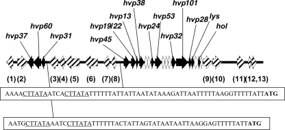 FIG. 1.