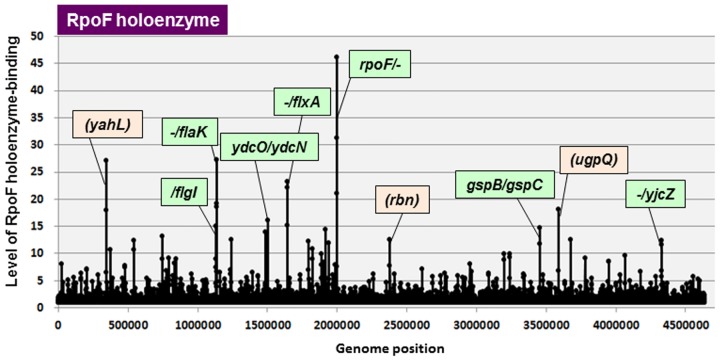 Fig 3