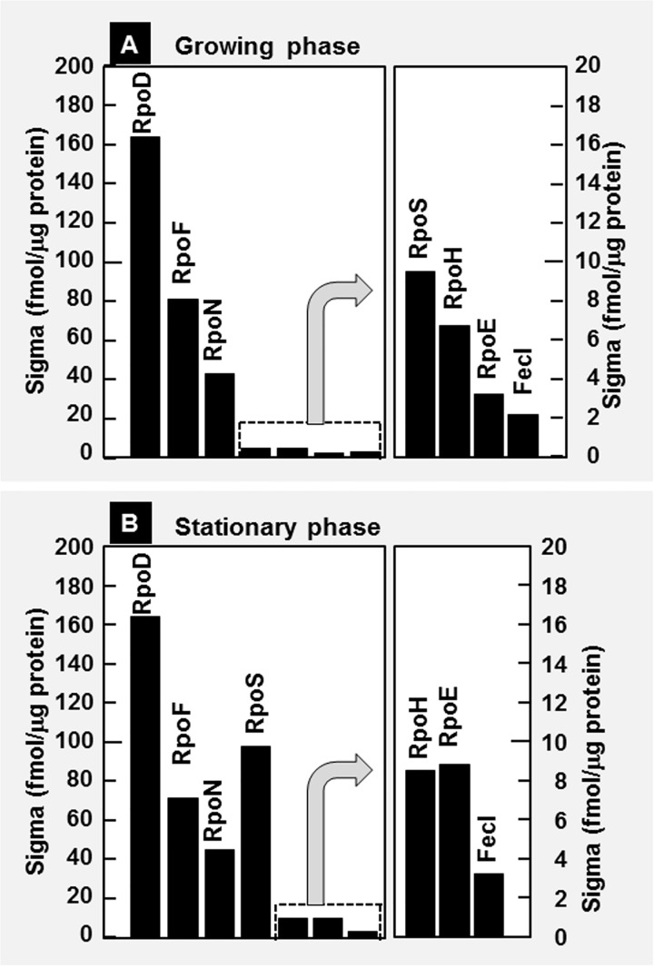 Fig 5