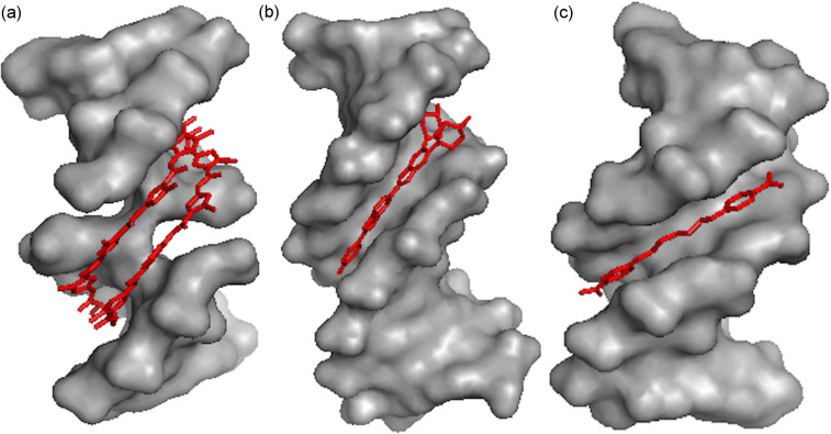 Figure 7