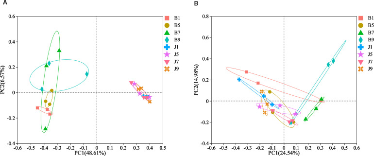 Figure 5