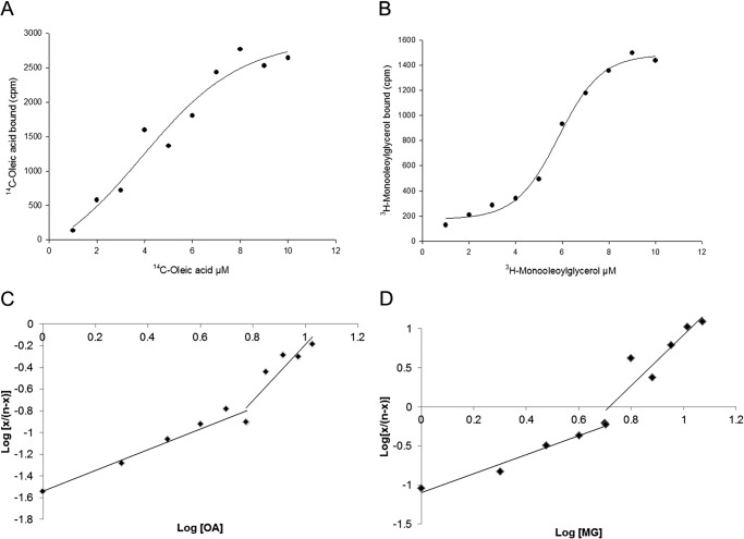 FIGURE 2.