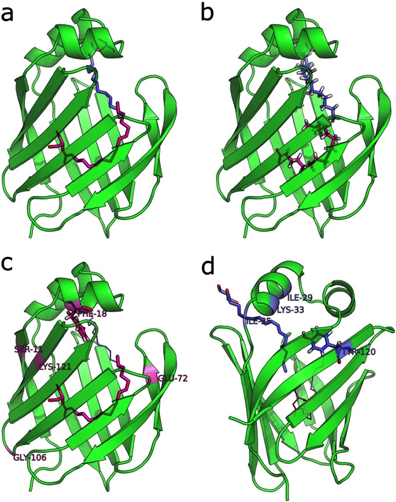 FIGURE 5.