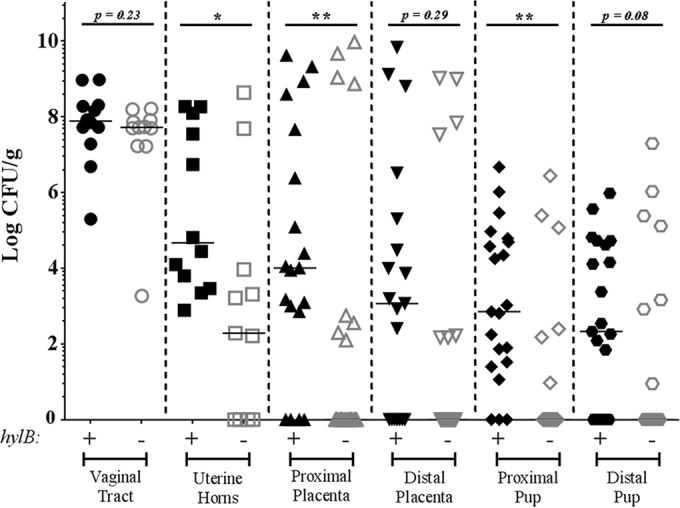 FIGURE 3 