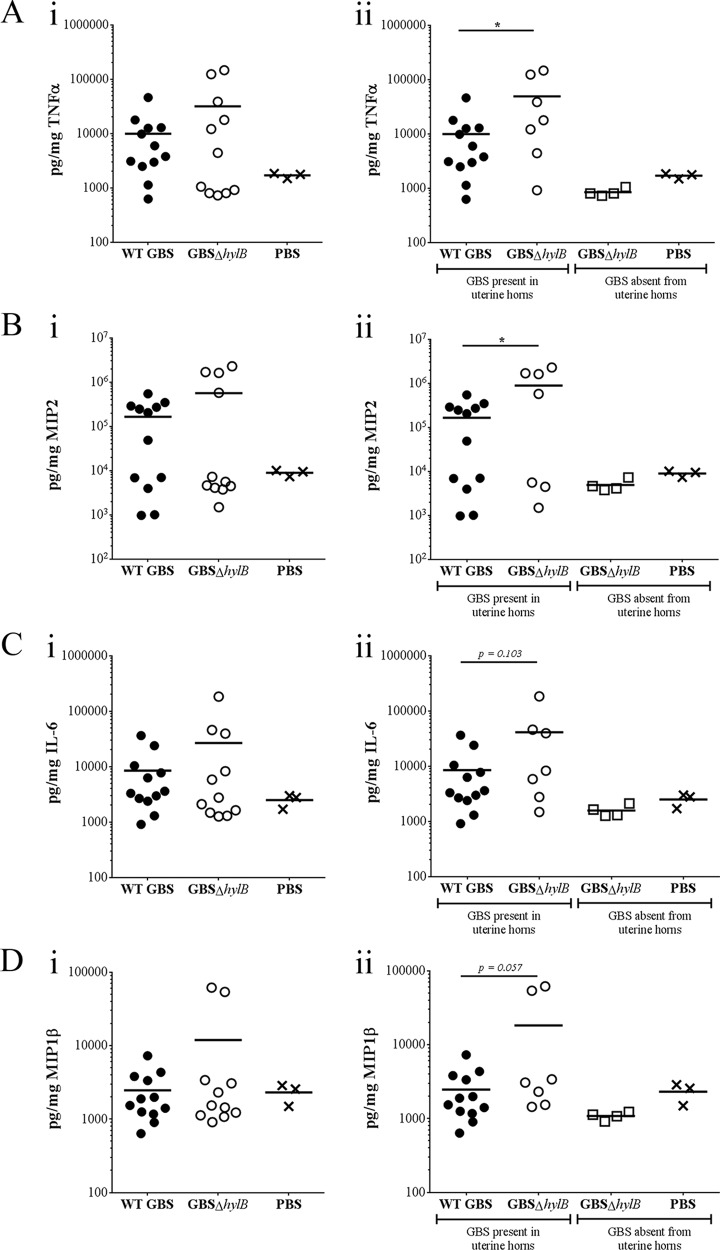 FIGURE 4 