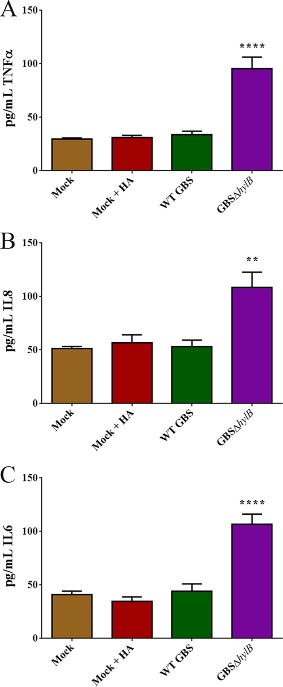 FIGURE 5 