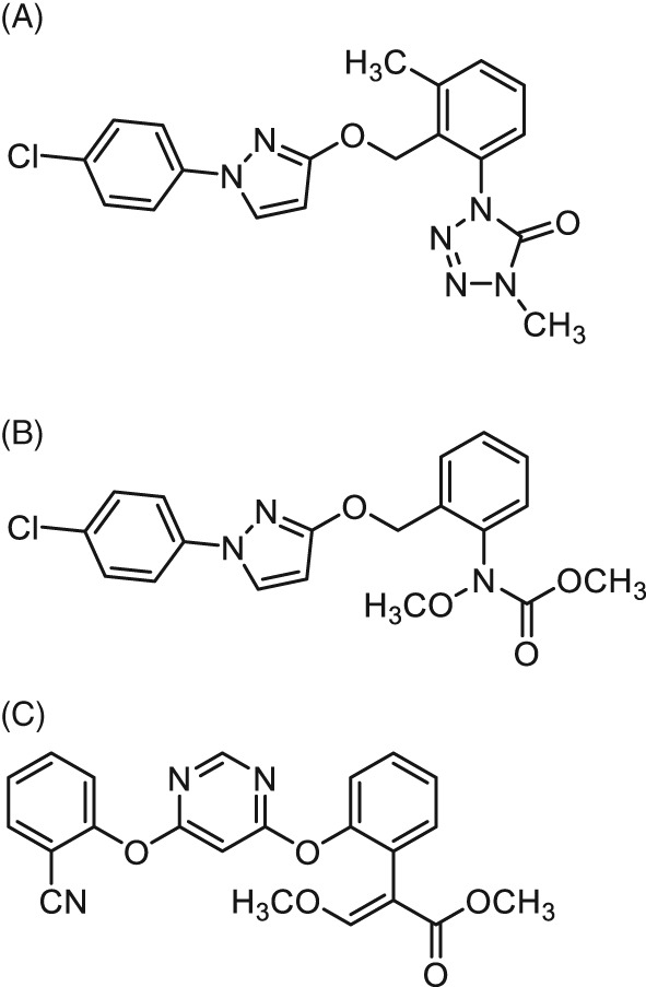 PS-5288-FIG-0001-b