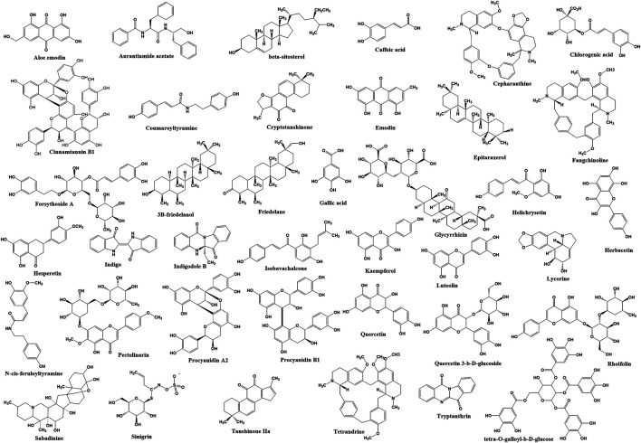 FIGURE 2