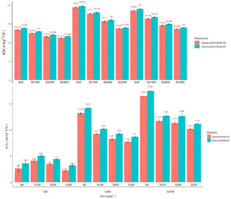 Figure 1