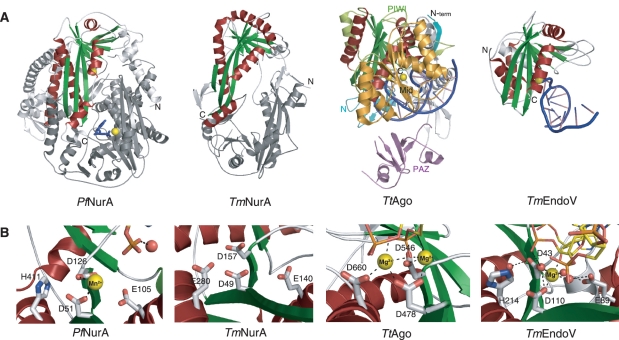 Figure 5.