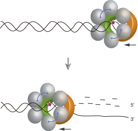 Figure 7.