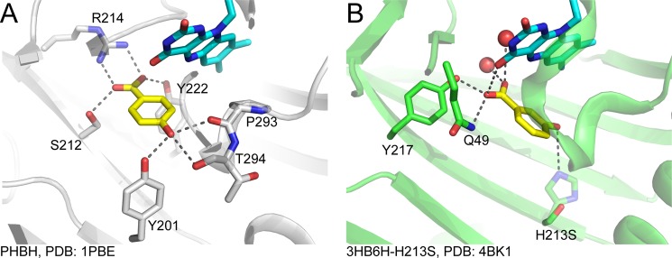 FIGURE 10.