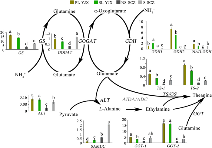 Figure 6