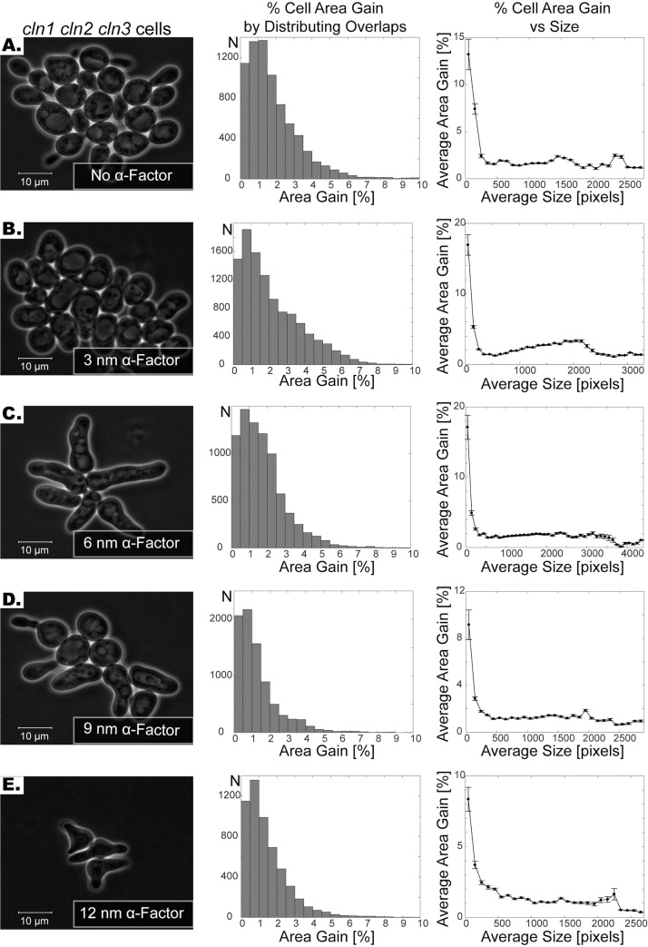 Fig 5