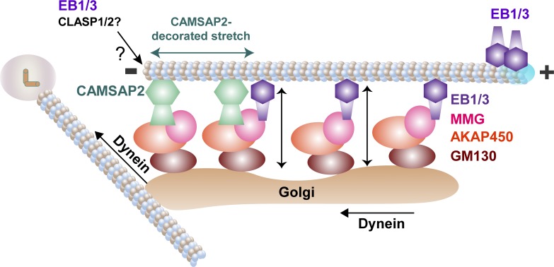 Figure 10.