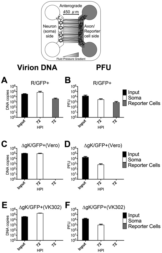 FIG 8 