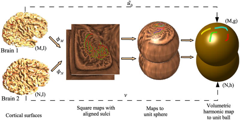 Fig. 5