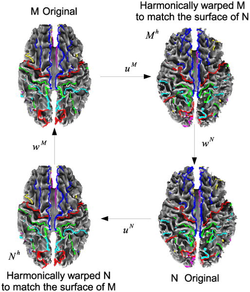 Fig. 7