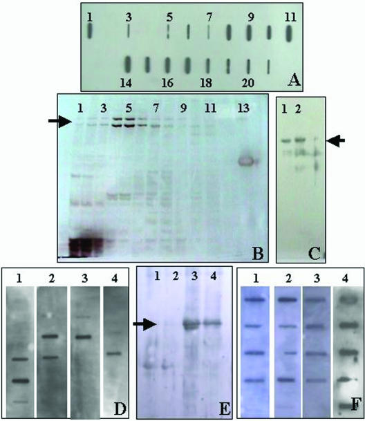 Fig 2.