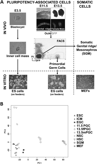 Figure 1.