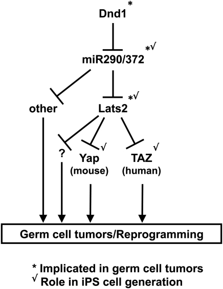 Figure 6.