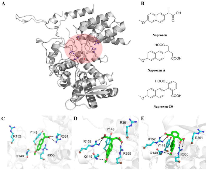 Fig. 4